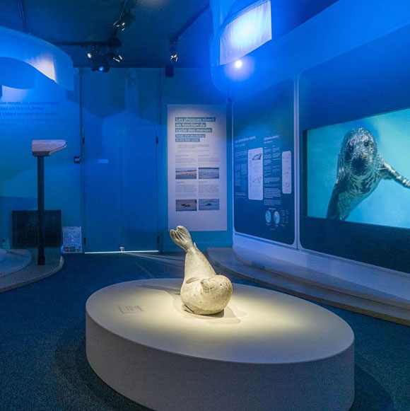 image du projet Maison de la baie de Somme