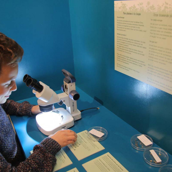 image du projet Life, restauration des prairies bocagères