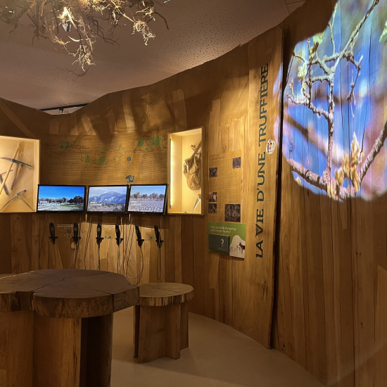 image du projet Maison de la Truffe