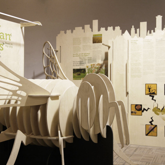 image du projet Urban bees